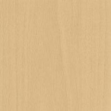 Планка складная Бук поморский