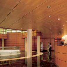 Подвесная плита Madera Lime Tree 600х600